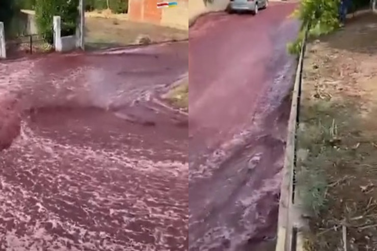 Portuqaliyada küçələrdən  şərab seli   axdı -  VİDEO 