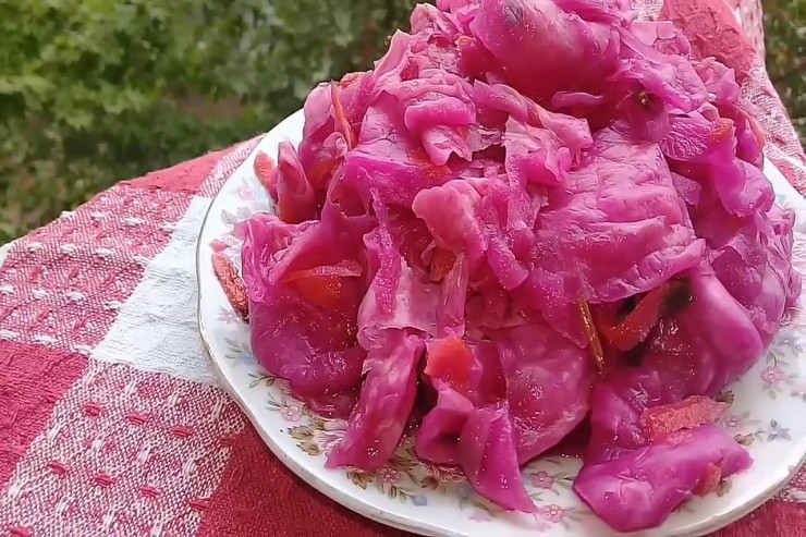 Kələm turşusu kimlərə QADAĞANDIR? 