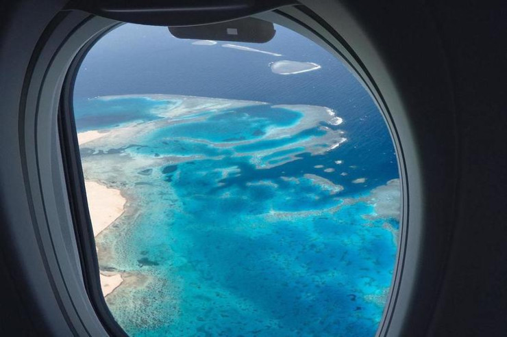 Alimlər Çili sahillərində naməlum canlı növləri aşkar ediblər