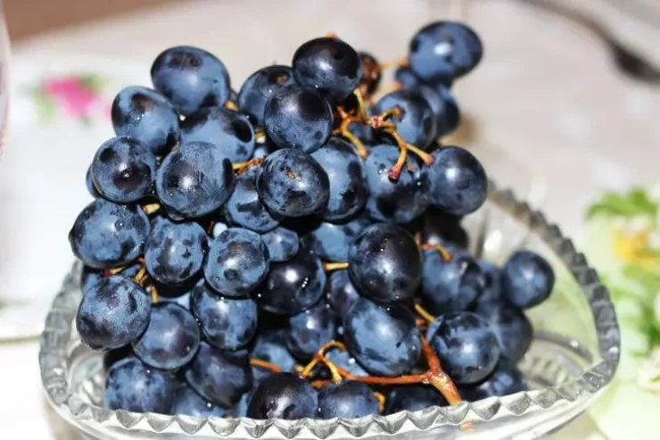 Üzümün dənəsini yemək orqanizmə necə təsir edir? - Faydaları və zərərləri 