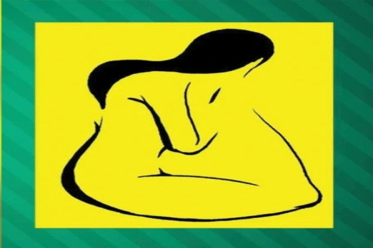 Fotoda ilk nə gördünüz? – Psixoloji test 