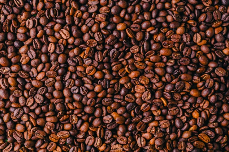 Dünyanın ən bahalı  qəhvəsi: Kiloqramı 10 min dollara satıldı 