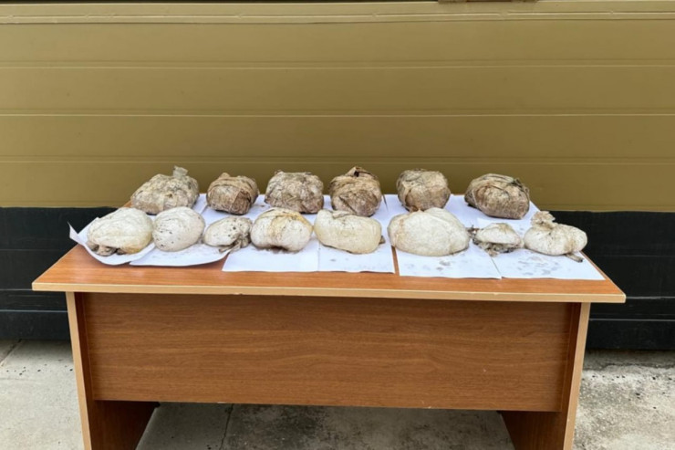 Yaşmada dəniz kənarından 16 kilo narkotik tapıldı