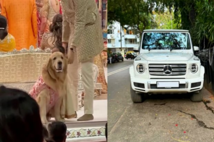 Onun sevimli itinin 360 min dollarlıq “Mercedes”i   var