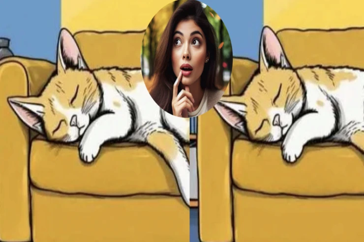 İnsanların yalnız 5 faizi bunu edə bilər:  20 saniyədə üç fərqi  tapın