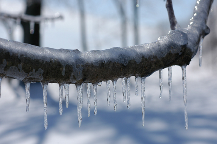 Bəzi rayonlarda 8 dərəcə şaxta olub  - FAKTİKİ HAVA