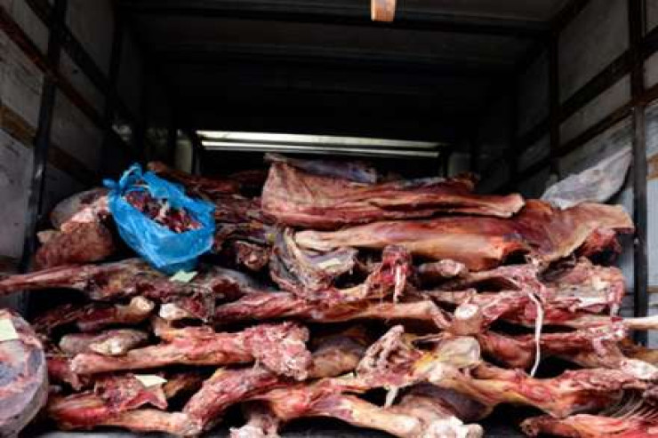 Naxçıvanda ƏT ƏMƏLİYYATI   - ŞOK VİDEO