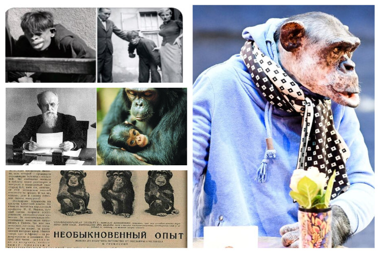 İnsanla meymunun  cütləşdirilməsinin   sonu nə oldu?