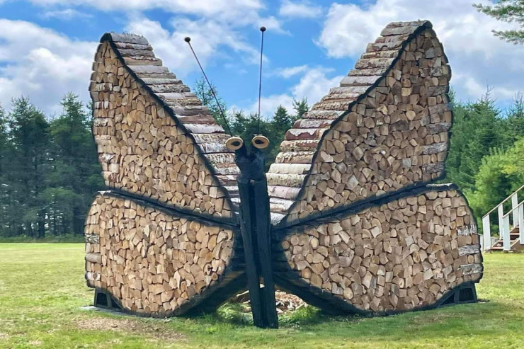 Odunçunun İSTEDADI 