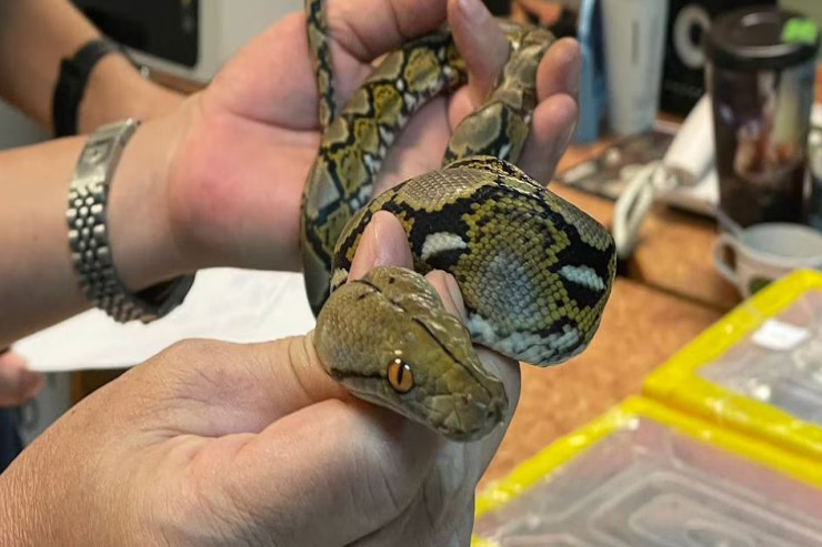 Aeroportda sərnişinin çantasından ilan çıxdı 