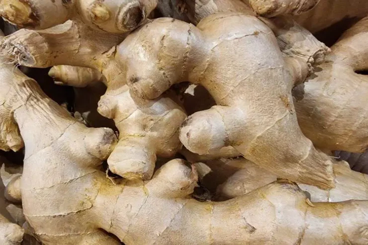 Arıqlamaq istəyənlərin NƏZƏRİNƏ:  zəncəfili   BELƏ  istifadə edin  