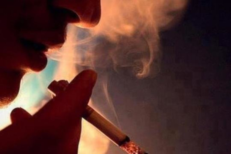 Siqareti tərgitdikdən sonra immunitet sistemində nə baş verir?