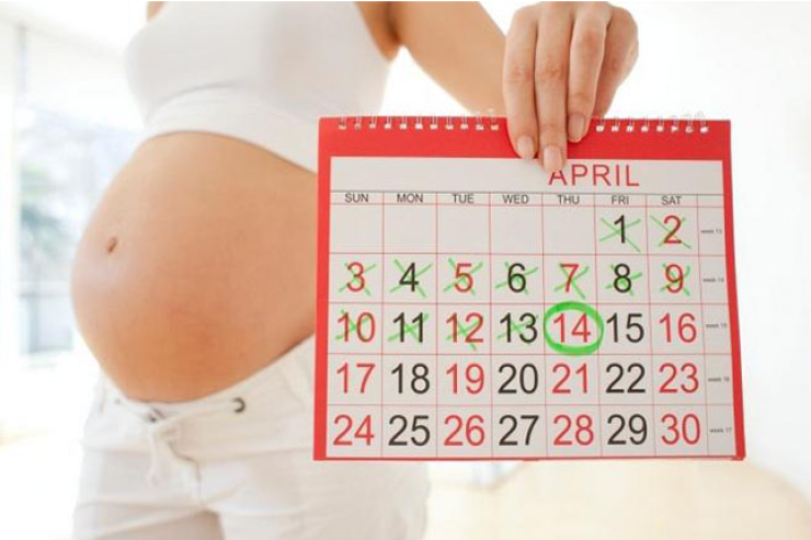 Ən az insan hansı  günlərdə və aylarda   doğulur? -  ARAŞDIRMA 