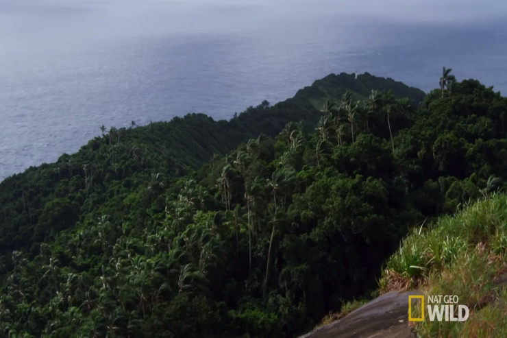 Dünyanın  ən təhlükəli   adası - Burada 70-dən çox tədqiqatçı ölüb -  VİDEO 
