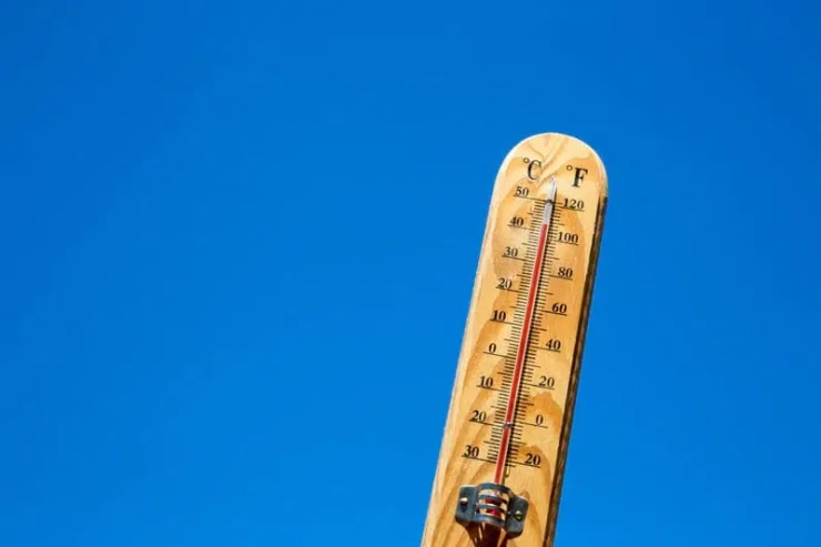 Şəhərləri yayın istisindən xilas etməyin ən təsirli yolu tapıldı