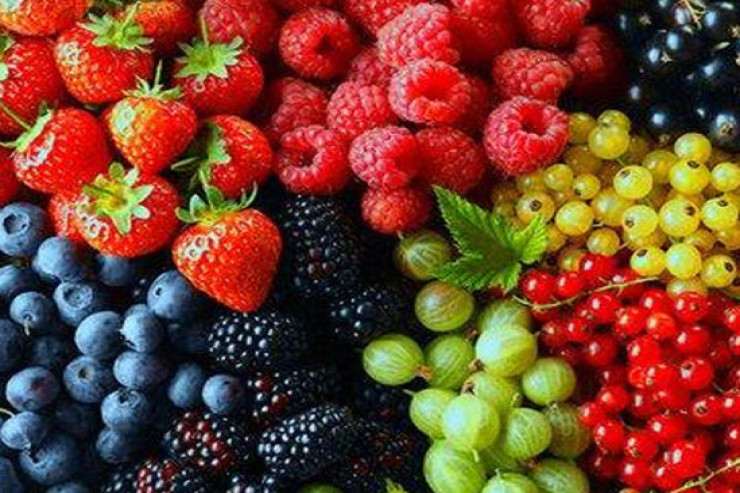 Bu giləmeyvə  ölüm riskini   azaldır