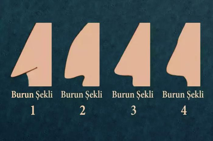 Burun formana görə şəxsiyyət testi - Necə insansan, səndən lider olarmı? 