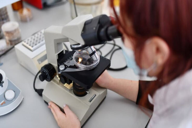 Yeni “zombi viruslar” aşkar edildi – PANDEMİYA OLACAQMI? 