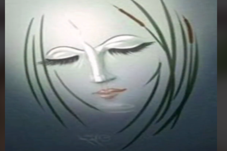 Şəkildə ilk nə gördünüz?-  Xarakter testi 