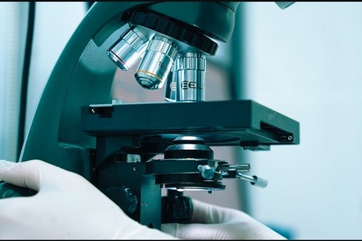 Qədim orqanizmlər kəşf olundu