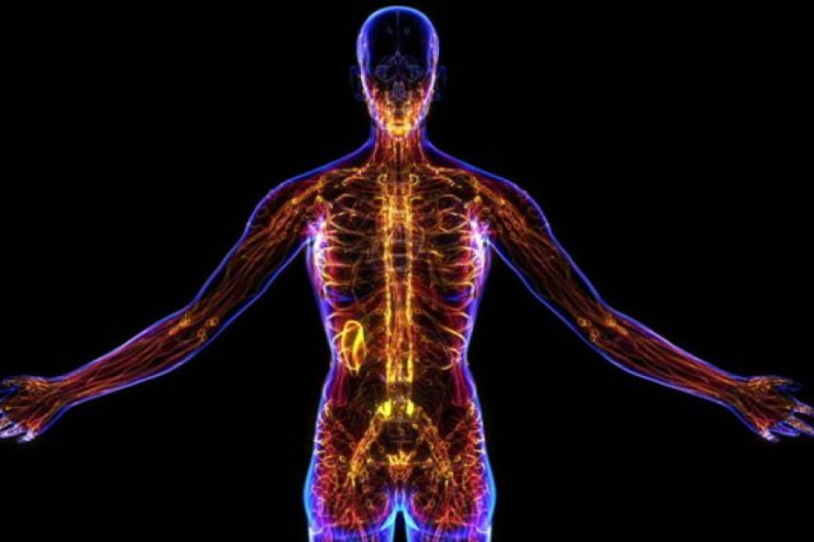 Bədənin kükürdə ehtiyacı var:  Onu bu məhsullarda tapmaq olar 