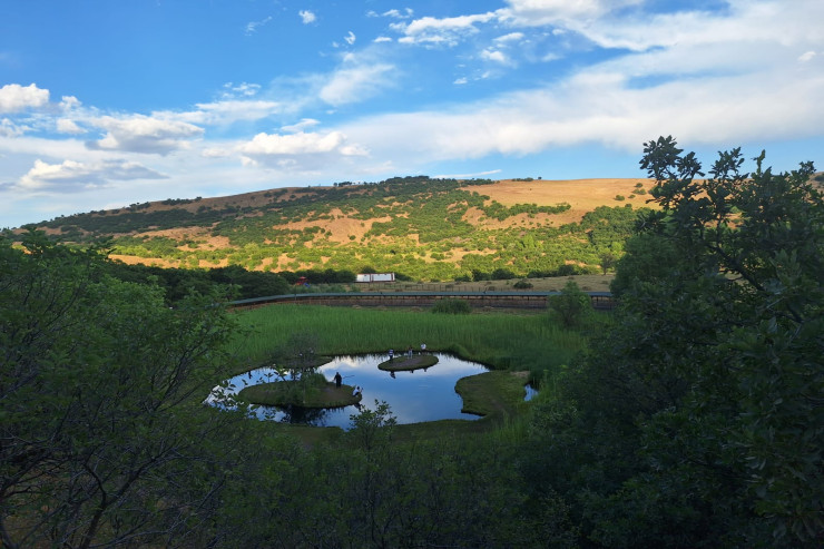 Təbiətin möcüzəsini görəndə ağzıaçıq qaldıq  - Xoşbəxtlik arxasınca üzən cütlük - REPORTAJ 