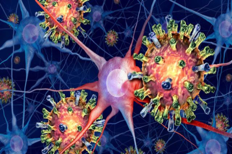 “Quş qripi” pandemiyası   təhlükəsi barədə XƏBƏRDARLIQ 