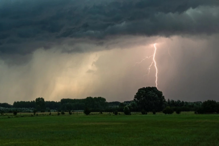 İldırım 19 nəfəri öldürdü 