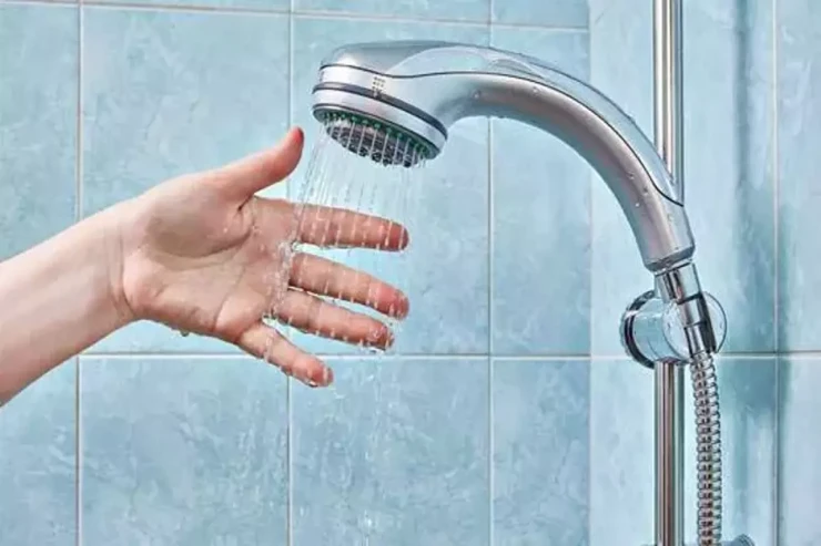 Evinizdə duş başlığı tutulub? – Belə TƏMİZLƏYİN  