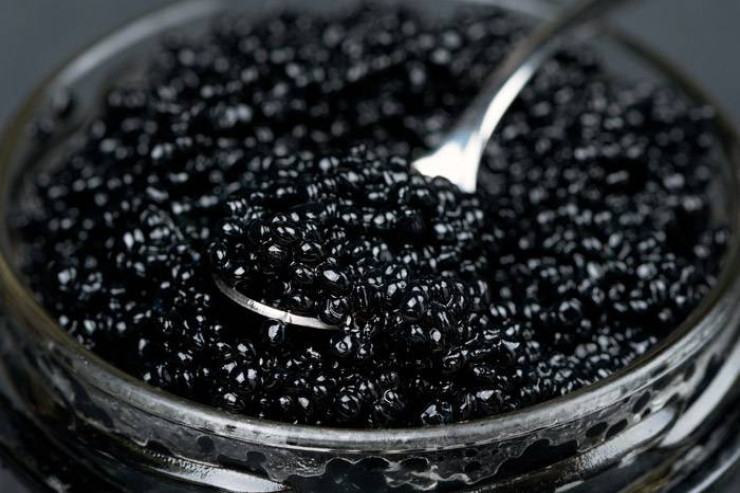  Qara kürü   niyə bu qədər bahadır? - 6 ƏSAS SƏBƏB 