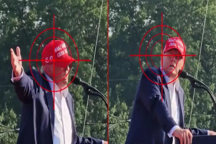 Tramp ölümdən belə xilas olub - VİDEO 