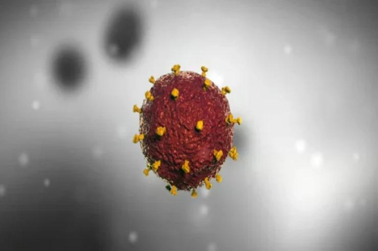 İİV-dən qorunmaq üçün  100 faiz təsirli dərman yaradıldı