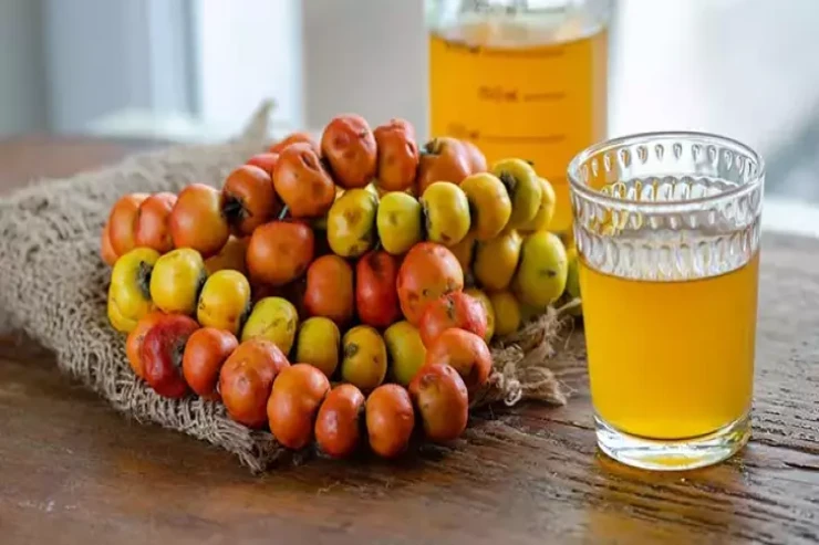 Minbir dərdə dərman olan yemişan sirkəsini  bir də belə hazırlayın