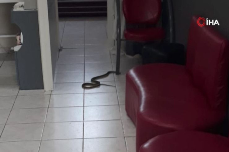 İlan qadın gözəllik salonuna girdi - VİDEO 