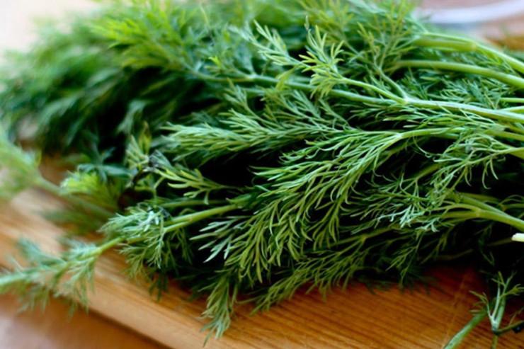 Niyə mütləq  şüyüd   yeməliyik?