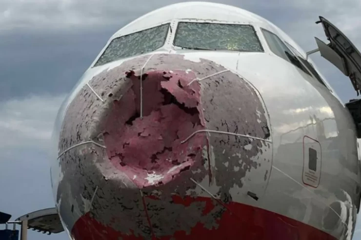 Avstraliyada təyyarə quşlarla TOQQUŞDU 