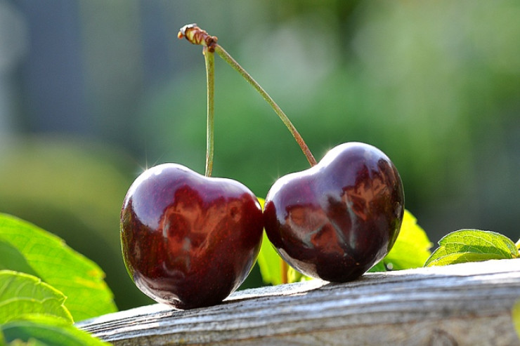 Bir kiloqram albalı  10 min dollara SATILDI