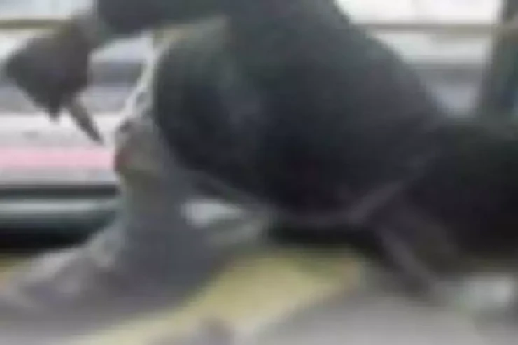 Tərtərdə kişi qardaşını öldürüb qaçdı - YENİLƏNİB 