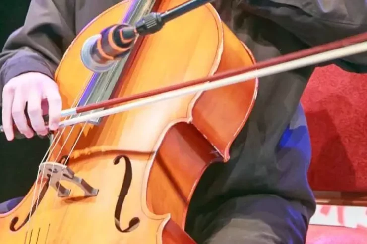 İnsanlar niyə kədərli musiqi  dinləməyi sevirlər?