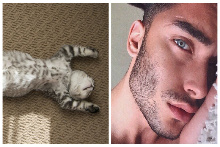 Saqqallı adamdan niyə “pişiyin ölüb?”  soruşurlar? - "Belə yaranıb"