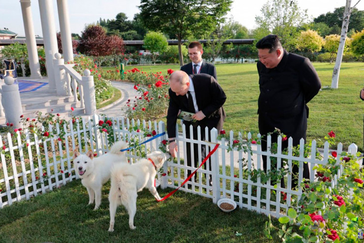 Şimali Koreyanın lideri Putinə 2 it bağışladı 