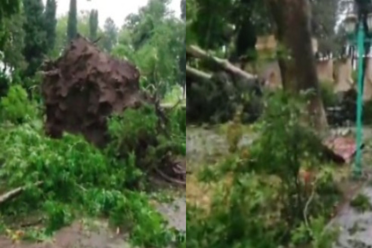 Güclü külək "Səməd Vurğun" parkını  yerlə-yeksan etdi - VİDEO 