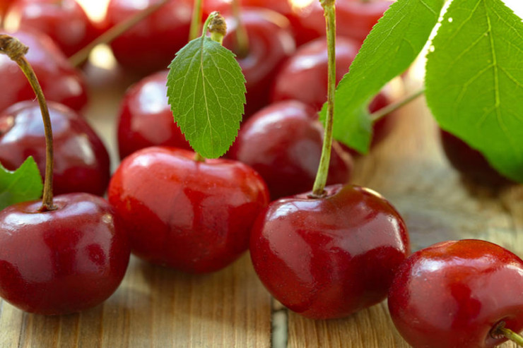 Albalının orqanizm üçün FAYDALARI  