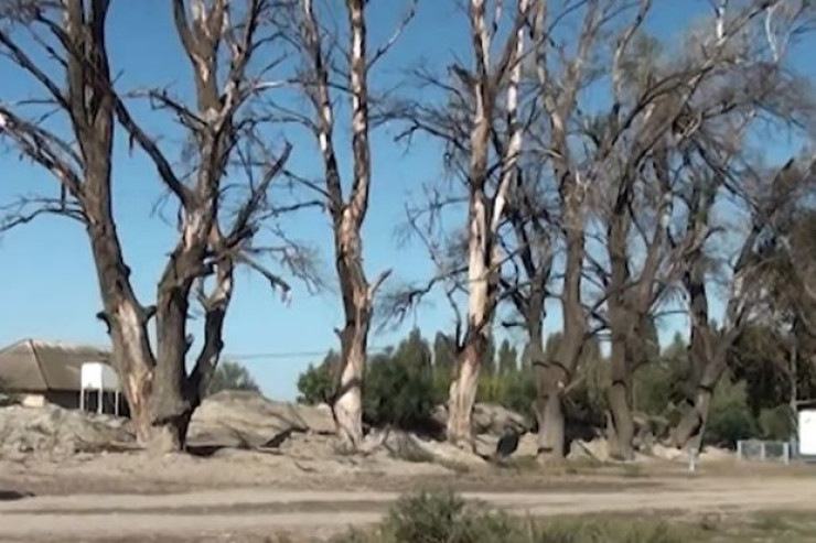 Zaqatalanın bu kəndində ağacda yarpaq qalmayıb - YAYDA PAYIZ MƏNZƏRƏSİ 