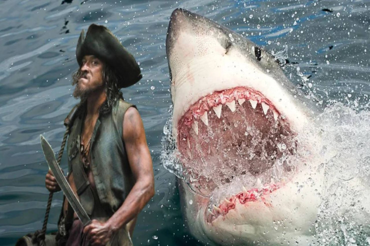 Məşhur aktyoru   köpək balığı PARÇALADI 