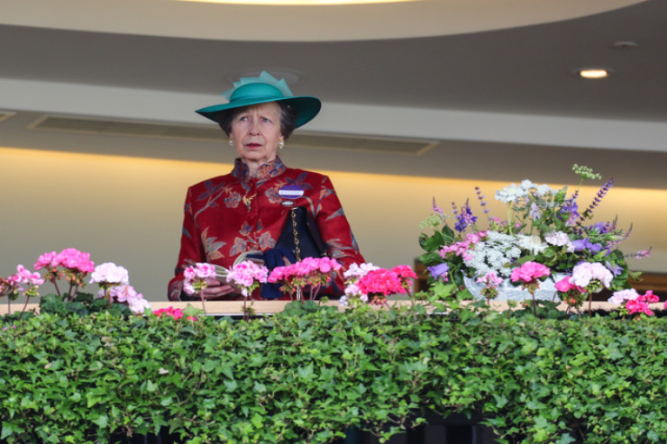 Şahzadə Anna  yaddaşını itirdi