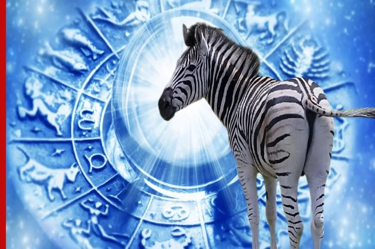 Bu BÜRCLƏRİN həyatında “ağ zolaq”  başladı: Dramatik dəyişikliklərə  hazır olun 