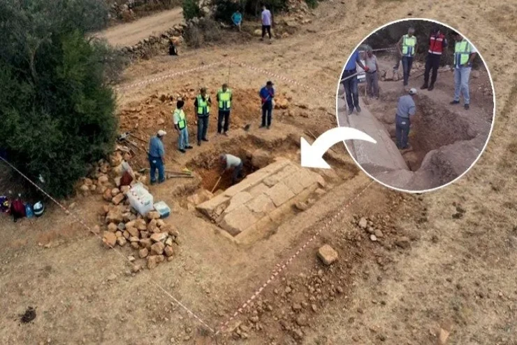 40 il sonra həyətindən 2400 illik xəzinə tapdı 