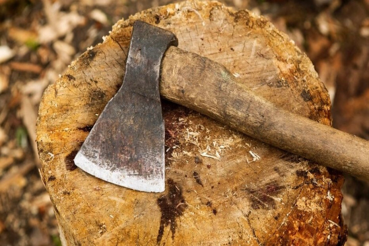 Ağac kəsən azərbaycanlı həbs olundu 