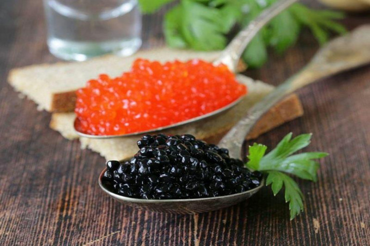 Hansı kürü daha sağlamdır? -  Qara, yoxsa qırmızı 